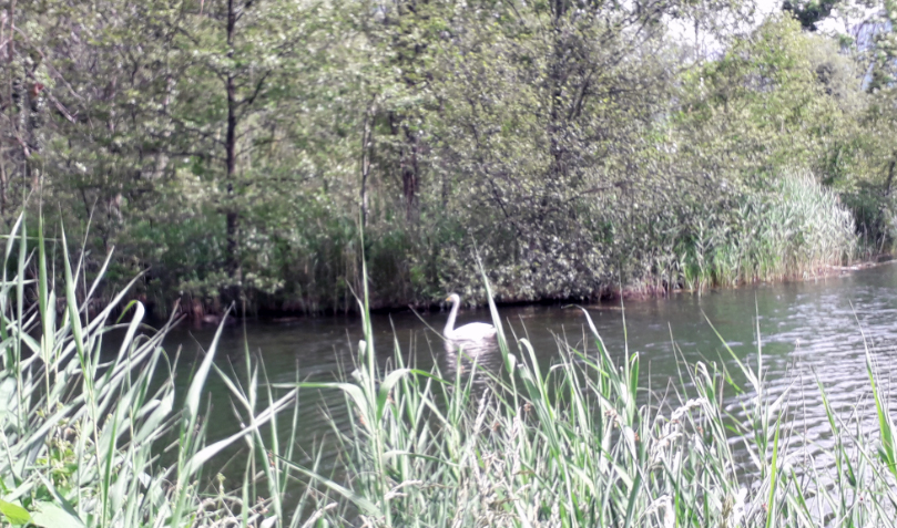 Lac de Gondran